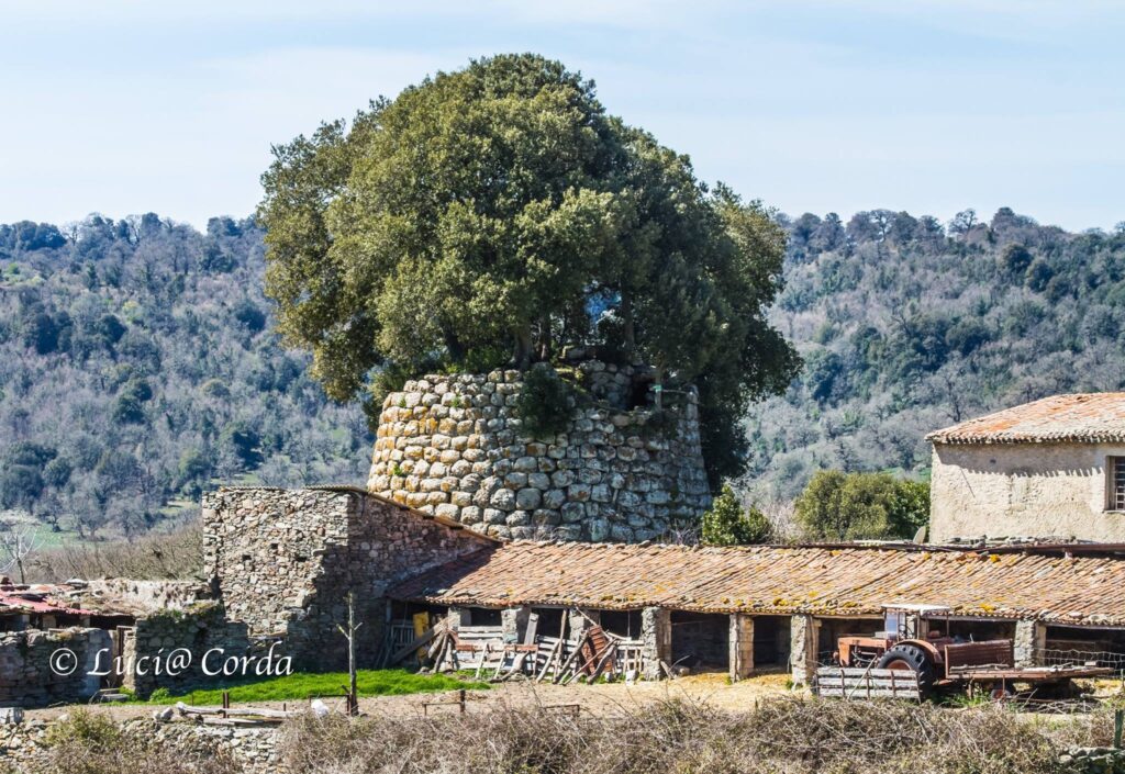 33a.2 and 38.2: Nuraghe Pattada ‘e Chelvos, in Illorai, and Nuraghe Erismanzanu in Esporlatu