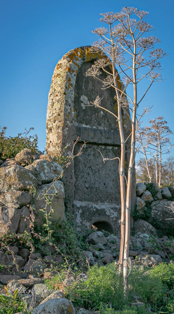 52.2, 52a.2 and 52b.2: Giants' tombs of Imbertighe, Perda Longa and Figu e Santu Bainzu - Borore