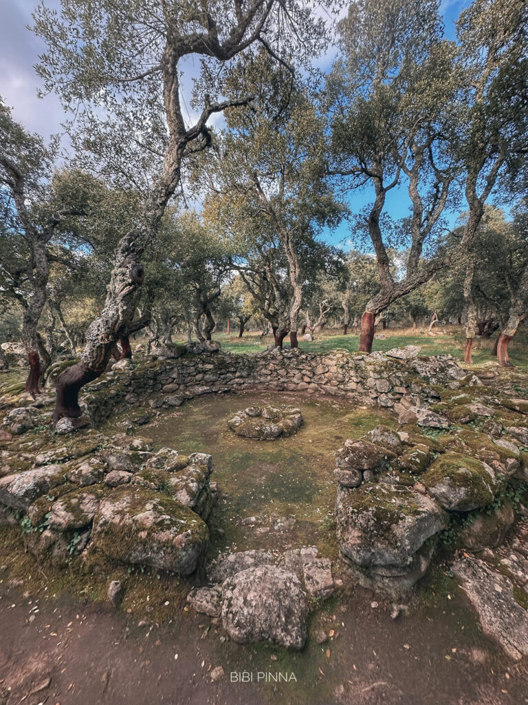 Cultic complex of Romanzesu in Bitti