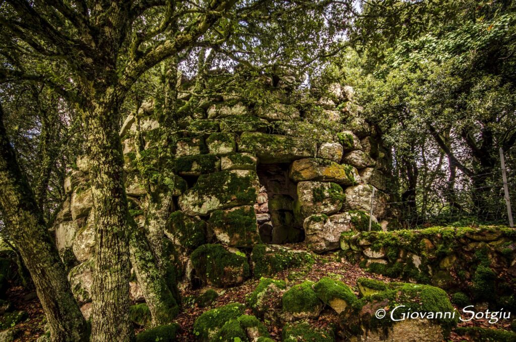 At Illorai, the nuraghe in the forest