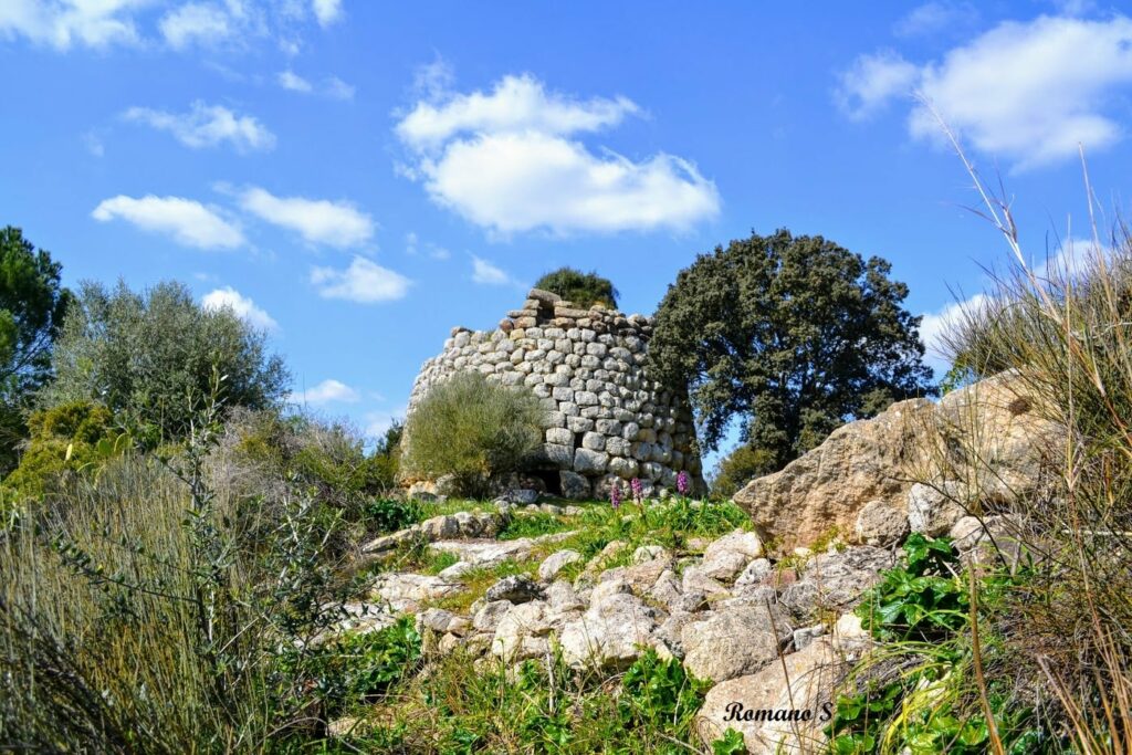 The Corvos nuraghe of Florinas